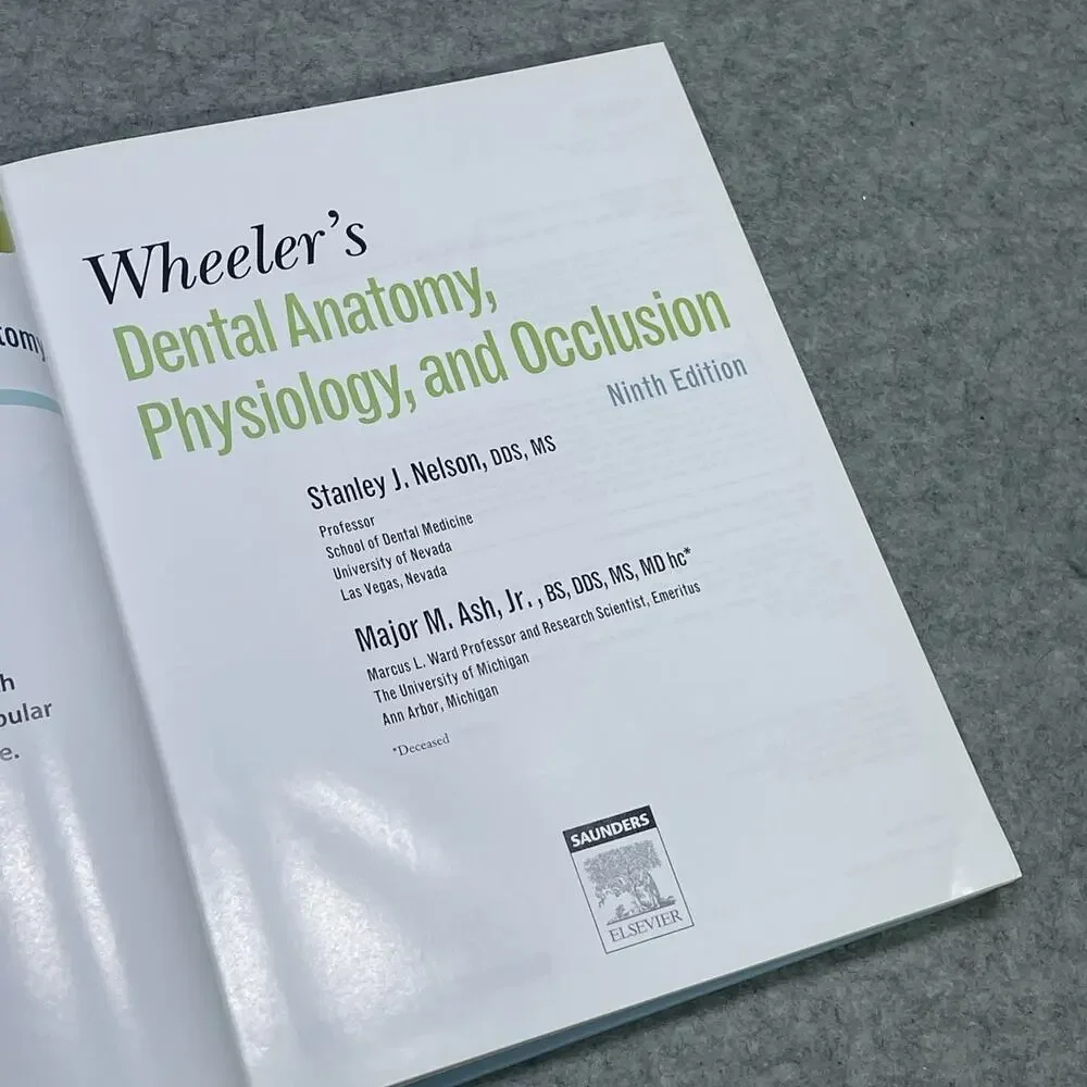 dental wheeler anatomy